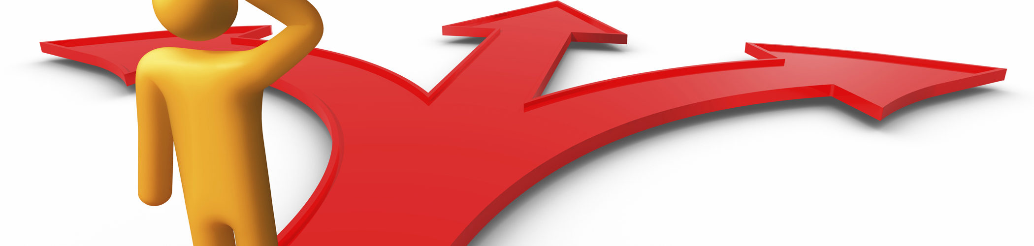 Power of Diversification For Money Multiplication